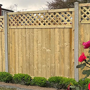 Fencing & Trellis