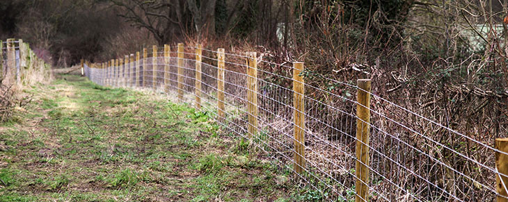 Stock Wire Fencing